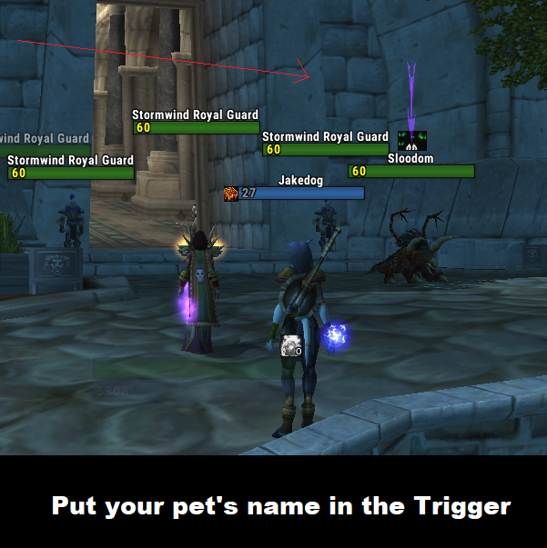 Nameplate Pet Tracker Arrow (puts an arrow above your pet)