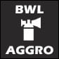 BWL Boss Raid Aggro