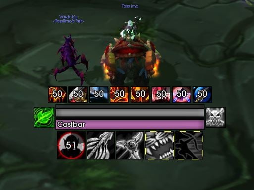 TBC Hunter UI