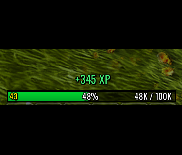 Experience Bar. Shows XP Gains.