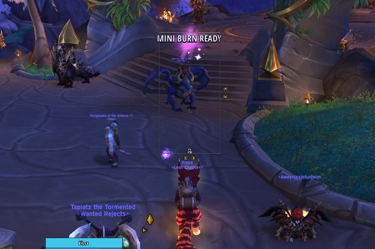 Mini Burn Wago