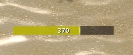 Player Power Word: Shield Bar